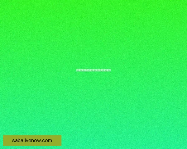 美加墨世界杯竞猜全攻略解析赛事走势与投注技巧