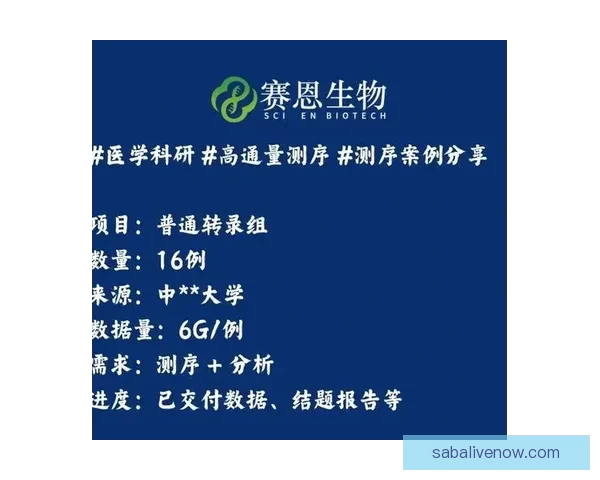 精准分析与深度预测 打造专业体育竞猜策略平台