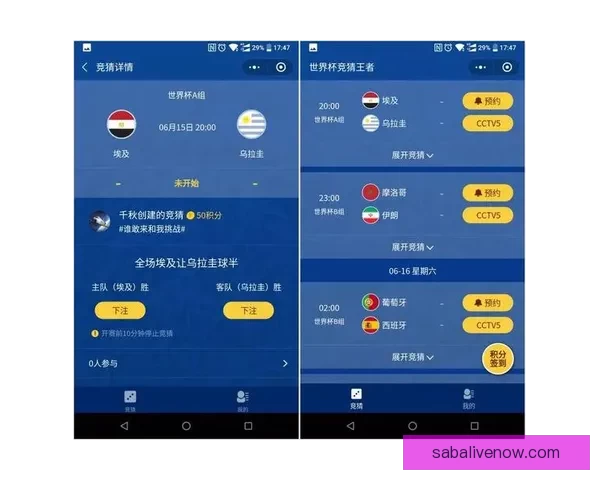 选择最佳世界杯竞猜平台指南全面评测与推荐
