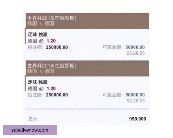 权威世界杯竞猜平台推荐助你精准投注赢大奖